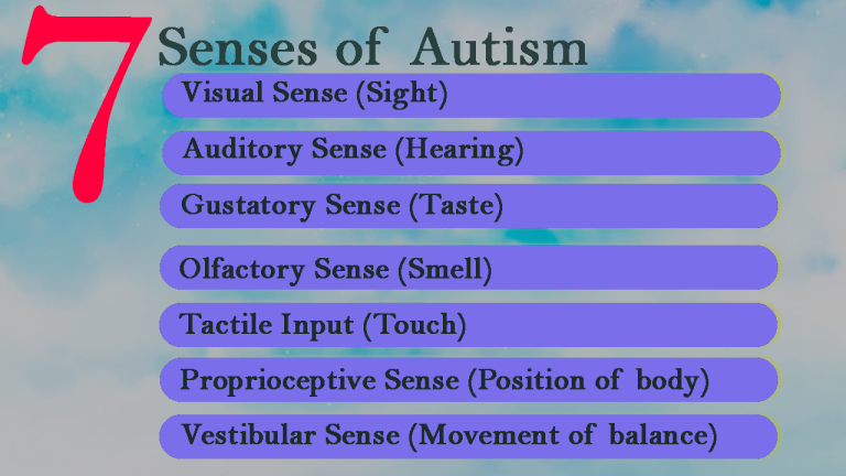 7 senses of autism