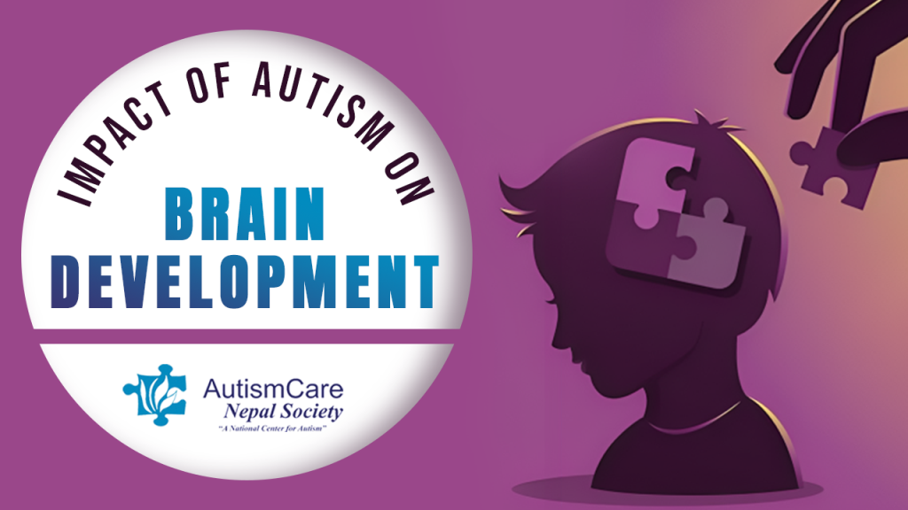 Impact of Autism on Brain Development